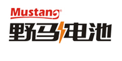 Mustang battery Co., LTD.